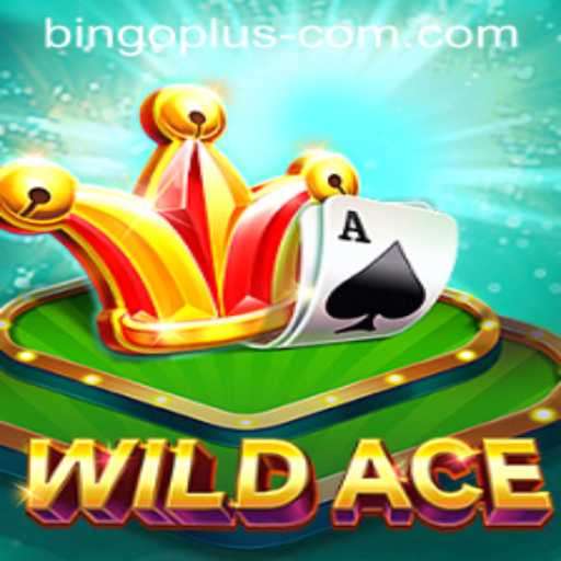 Unlock the Thrills of WildAce: A New Chapter in Bingo Gaming